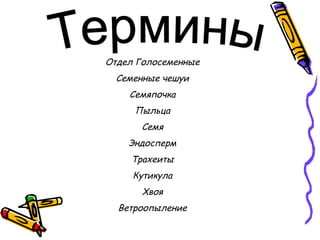 Отдел Голосеменные
Семенные чешуи
Семяпочка
Пыльца
Семя
Эндосперм
Трахеиты
Кутикула
Хвоя
Ветроопыление
 