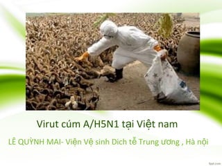 Virut cúm A/H5N1 t i Vi t namạ ệ
LÊ QUỲNH MAI- Vi n V sinh Dich t Trung ng , Hà n iệ ệ ễ ươ ộ
 