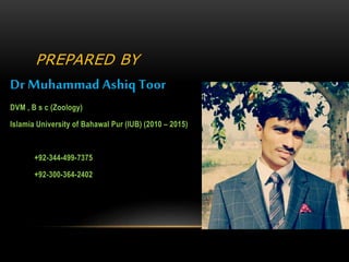 PREPARED BY
Dr Muhammad Ashiq Toor
DVM , B s c (Zoology)
Islamia University of Bahawal Pur (IUB) (2010 – 2015)
+92-344-499-7375
+92-300-364-2402
 