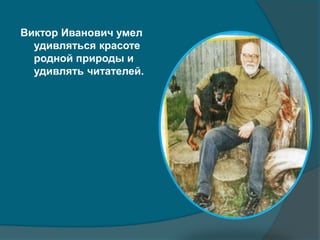 Виктор Иванович умел
удивляться красоте
родной природы и
удивлять читателей.
 