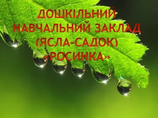 днз росинка