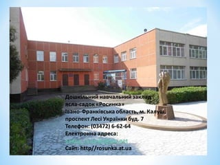 днз росинка