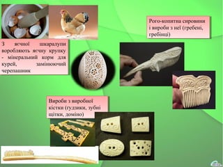Рого-копитна сировини
і вироби з неї (гребені,
гребінці)
Рого-копитна сировини
і вироби з неї (гребені,
гребінці)
З яєчної шкаралупи
воробляють яєчну крупку
- мінеральний корм для
курей, замінюючий
черепашник
З яєчної шкаралупи
воробляють яєчну крупку
- мінеральний корм для
курей, замінюючий
черепашник
Вироби з виробної
кістки (ґудзики, зубні
щітки, доміно)
Вироби з виробної
кістки (ґудзики, зубні
щітки, доміно)
 
