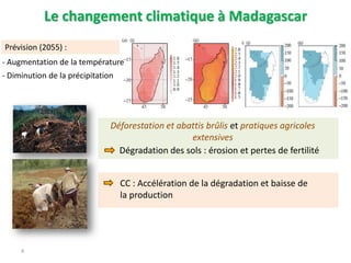 1.1. Agriculture et changement climatique : quelles stratégies d’adaptation ?