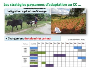 1.1. Agriculture et changement climatique : quelles stratégies d’adaptation ?