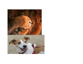 1. picture me   icebreaker