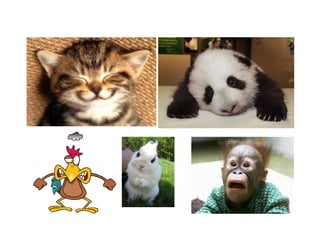 1. picture me   icebreaker