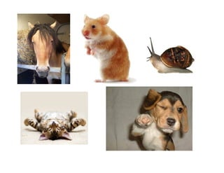 1. picture me   icebreaker