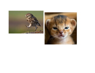 1. picture me   icebreaker