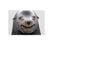 1. picture me   icebreaker