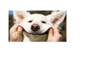 1. picture me   icebreaker