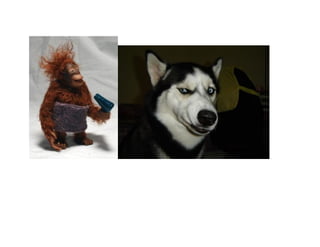 1. picture me   icebreaker