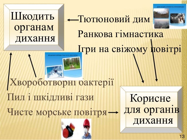 Шкодить
органам
дихання
Корисне
для органів
дихання
Хвороботворні бактерії
Пил і шкідливі гази
Чисте морське повітря
Тютюн...