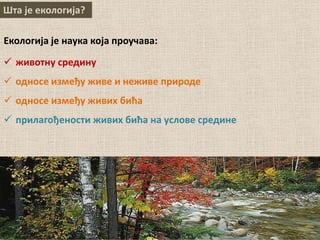 Шта је екологија?
Екологија је наука која проучава:
 животну средину
 односе између живе и неживе природе
 односе између живих бића
 прилагођености живих бића на услове средине
 