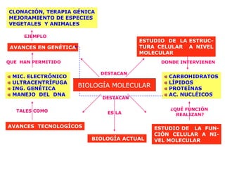 AVANCES EN GENÉTICA
CLONACIÓN, TERAPIA GÉNICA
MEJORAMIENTO DE ESPECIES
VEGETALES Y ANIMALES
DESTACAN
EJEMPLO
ESTUDIO DE LA ESTRUC-
TURA CELULAR A NIVEL
MOLECULAR
CARBOHIDRATOS
LÍPIDOS
PROTEÍNAS
AC. NUCLÉICOS
DONDE INTERVIENEN
ESTUDIO DE LA FUN-
CIÓN CELULAR A NI-
VEL MOLECULAR
¿QUÉ FUNCIÓN
REALIZAN?
AVANCES TECNOLOGÍCOS
MIC. ELECTRÓNICO
ULTRACENTRÍFUGA
ING. GENÉTICA
MANEJO DEL DNA
QUE HAN PERMITIDO
TALES COMO
BIOLOGÍA ACTUAL
ES LA
BIOLOGÍA MOLECULAR
DESTACAN
 