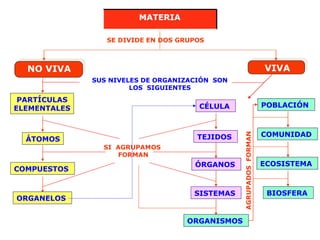 SE DIVIDE EN DOS GRUPOS
NO VIVA VIVA
PARTÍCULAS
ELEMENTALES
ÁTOMOS
SI AGRUPAMOS
FORMAN
COMPUESTOS
ORGANELOS
SUS NIVELES DE ORGANIZACIÓN SON
LOS SIGUIENTES
CÉLULA
TEJIDOS
ÓRGANOS
SISTEMAS
ORGANISMOS
POBLACIÓN
COMUNIDAD
ECOSISTEMA
BIOSFERA
AGRUPADOSFORMAN
MATERIA
 