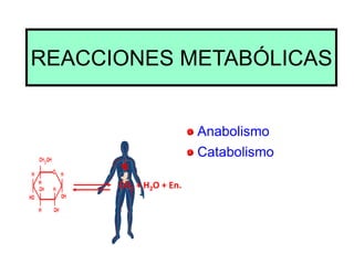 REACCIONES METABÓLICAS
Anabolismo
Catabolismo
CO2 + H2O + En.
 