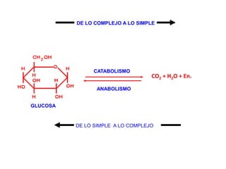 GLUCOSA
DE LO COMPLEJO A LO SIMPLE
DE LO SIMPLE A LO COMPLEJO
CATABOLISMO
CO2 + H2O + En.
ANABOLISMO
 
