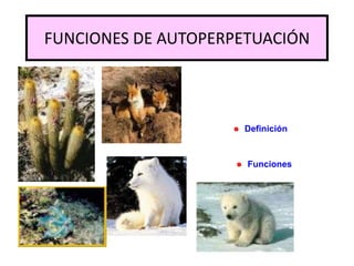 FUNCIONES DE AUTOPERPETUACIÓN
Definición
Funciones
 