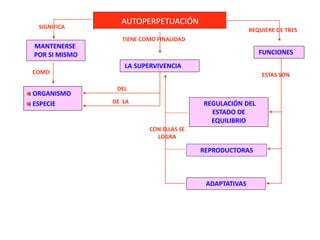 AUTOPERPETUACIÓN
MANTENERSE
POR SI MISMO
SIGNIFICA
COMO
ORGANISMO
ESPECIE
TIENE COMO FINALIDAD
LA SUPERVIVENCIA
DEL
DE LA
FUNCIONES
REQUIERE DE TRES
ESTAS SON
REGULACIÓN DEL
ESTADO DE
EQUILIBRIO
REPRODUCTORAS
ADAPTATIVAS
CON ELLAS SE
LOGRA
 