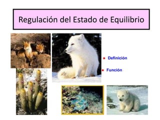 Regulación del Estado de Equilibrio
Definición
Función
 