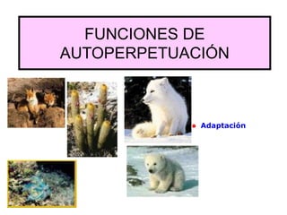 FUNCIONES DE
AUTOPERPETUACIÓN
Adaptación
 