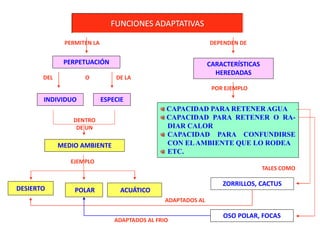 FUNCIONES ADAPTATIVAS
PERMITEN LA
PERPETUACIÓN
INDIVIDUO
DEL DE LA
ESPECIE
DENTRO
DE UN
CARACTERÍSTICAS
HEREDADAS
MEDIO AMBIENTE
O
DEPENDEN DE
POR EJEMPLO
CAPACIDAD PARA RETENER AGUA
CAPACIDAD PARA RETENER O RA-
DIAR CALOR
CAPACIDAD PARA CONFUNDIRSE
CON ELAMBIENTE QUE LO RODEA
ETC.
ZORRILLOS, CACTUS
OSO POLAR, FOCAS
EJEMPLO
DESIERTO POLAR ACUÁTICO
ADAPTADOS AL
ADAPTADOS AL FRIO
TALES COMO
 