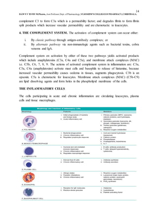 14
DAWN V TOMY M.Pharm.,Asst.Professor,Dept. ofPharmacology, ST.JOSEPH’S COLLEGEOFPHARMACY,CHERTHALA.
complement C3 to form C3a which is a permeability factor; and degrades fibrin to form fibrin
split products which increase vascular permeability and are chemotactic to leucocytes.
4. THE COMPLEMENT SYSTEM. The activation of complement system can occur either:
i. By classic pathway through antigen-antibody complexes; or
ii. By alternate pathway via non-immunologic agents such as bacterial toxins, cobra
venoms and IgA.
Complement system on activation by either of these two pathways yields activated products
which include anaphylatoxins (C3a, C4a and C5a), and membrane attack complexes (MAC)
i.e. C5b, C6, 7, 8, 9. The actions of activated complement system in inflammation are: C3a,
C5a, C4a (anaphylatoxins) activate mast cells and basophils to release of histamine, because
increased vascular permeability causes oedema in tissues, augments phagocytosis. C3b is an
opsonin. C5a is chemotactic for leucocytes. Membrane attack complexes (MAC) (C5b-C9)
are lipid dissolving agents and form holes in the phospholipid membrane of the cells.
THE INFLAMMATORY CELLS
The cells participating in acute and chronic inflammation are circulating leucocytes, plasma
cells and tissue macrophages.
 