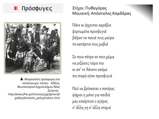 Πρόσφυγες Στίχοι: Πυθαγόρας
Μουσική:Απόστολος Καρδάρας
Πάνε κι έρχονται καράβια
φορτωμένα προσφυγιά
βάψαν τα πανιά τους μαύρα
τα κατάρτια τους μαβιά
Σε ποια πέτρα σε ποιο χώμα
να ριζώσεις τώρα πια
κι απ’ το θάνατο ακόμα
πιο πικρή είσαι προσφυγιά
Πού να βρίσκεται ο πατέρας
ψάχνει η μάνα για παιδιά
μας εσκόρπισε ο αγέρας
σ’ άλλη γη σ’ άλλη στεριά
▲ Μικρασιάτες πρόσφυγες στο
κατάστρωμα πλοίου. Αθήνα,
Φωτοϊστορικό Αρχείο Δήμου Νέας
Σμύρνης.
http://www.fhw.gr/chronos/13/gr/general/
gallery/domestic_policy/ind001.html
 