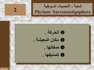 ‫شعبة‬:‫السوطية‬ ‫اللحميات‬
Phylum: Sarcomastigophora2
‫الحركة‬.
‫مكان‬‫المعيشة‬.
‫صفاتها‬.
‫تصنيفها‬.
‫د‬.‫أكبر‬ ‫آمال‬
 