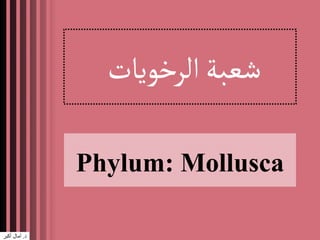 ‫الرخويات‬‫شعبة‬
Phylum: Mollusca
‫د‬.‫أكبر‬ ‫آمال‬
 