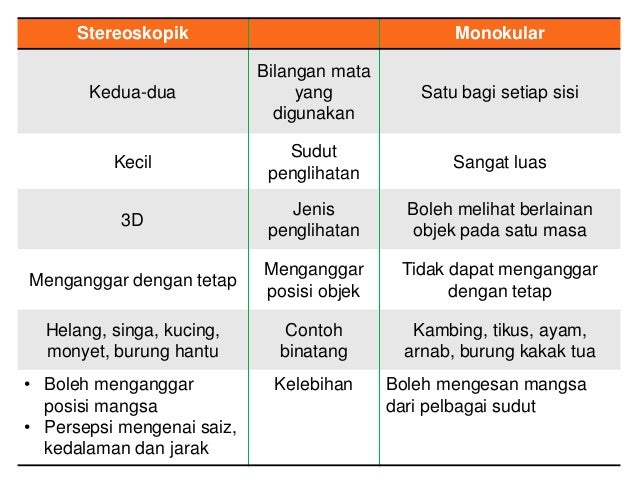 1.1 dunia melalui deria kita