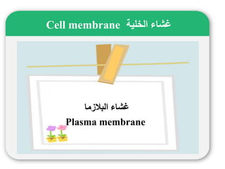 خلية  1 Slide 8