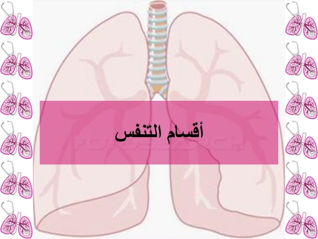 المحاضرة 1 تنفسي