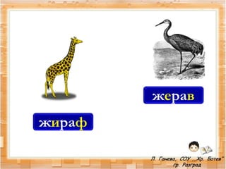 жираф
жерав
 