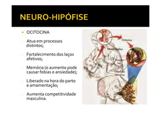 OCITOCINA
- Atua em processos
distintos;
- Fortalecimento dos laços
afetivos;afetivos;
- Memória (o aumento pode
causar fobias e ansiedade);
- Liberado na hora do parto
e amamentação;
- Aumenta competitividade
masculina.
 