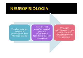 Perceber variações
Analisar essas
variações quanto à
Organizar
comportamentos que
Perceber variações
energéticas
(estímulos) do meio
interno ou externo
variações quanto à
qualidade,
intensidade e
localização, associar
e interpretar
Organizar
comportamentos que
constituam uma
resposta adequada
ao estimulo
 