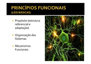 Propósito (estrutura
referencial e
adaptação)
Organização dos
Sistemas
Mecanismos
Funcionais
 