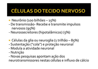 Neurônio (100 bilhões – 15%)
- De transmissão- Recebe e transmite impulsos
nervosos (95%)
- Neurossecretores (hipotalâmicos) (5%)
Células da glia ou neuroglia (1 trilhão – 85%)
- Sustentação (“cola”) e proteção neuronal
- Modula a atividade neuronal
- Nutrição
- Novas pesquisas apontam ação dos
neurotransmissores nestas células e influxo de cálcio
 
