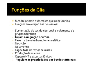 Menores e mais numerosas que os neurônios
Funções em relação aos neurônios:
- Sustentação do tecido neuronal e isolamento de
grupos neuronaisgrupos neuronais
- Guiam a migração neuronal
- Fazem a barreira hemoto - encefálica
- Nutrição
- Isolamento
- Fagocitose de restos celulares
- Produção de mielina
- Captam NT e excessos iônicos
- Regulam as propriedades dos botões terminais
 