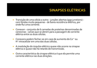 Transição de uma célula a outra - junções abertas (gap junstions) -
com fendas muito pequenas - de baixa resistência elétrica, por
onde flui uma corrente.
Conexon - conjunto de 6 camadas de proteínas denominadas de
conexinas - canais que se abrem para a passagem de corrente
elétrica entre as duas células.elétrica entre as duas células.
Conexons podem fechar-se em caso de aumento do Ca++ ou
H+ intracelular em uma das duas células.
A modulação do impulso elétrico quase não ocorre na sinapse
elétrica e quase não há retardo de transmissão.
Outra característica da sinapse elétrica é que ela permite uma
corrente elétrica nas duas direções.
 