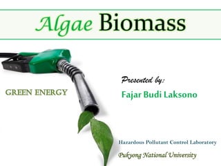 Algae
Presented by:
Fajar Budi Laksono
Hazardous Pollutant Control Laboratory
Pukyong National University
 