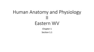 Human Anatomy and Physiology
II
Eastern WV
Chapter 1
Section 1.1
 