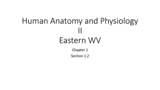 Human Anatomy and Physiology
II
Eastern WV
Chapter 1
Section 1.2
 
