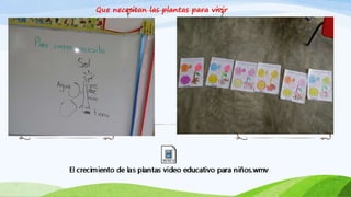 Que necesitan las plantas para vivir
 