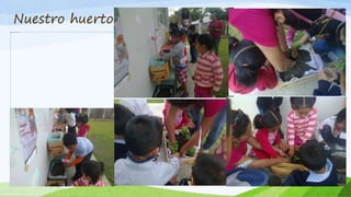 Nuestro huerto
 
