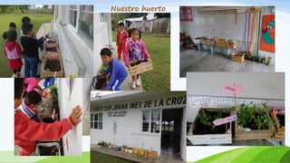 Nuestro huerto
 