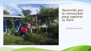 Recorrido por
la comunidad
para explorar
su flora
Actividad de inicio
 