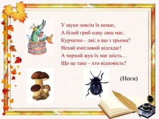 У щуки зовсім їх немає,
А білий гриб одну лиш має,
Курчатко – дві; а що з трьома?
Нехай кмітливий відгадає!
А чорний жук їх має шість…
Що це таке – хто відповість?
(Ноги)
 
