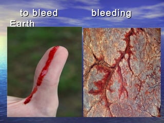 to bleed bleedingto bleed bleeding
EarthEarth
 